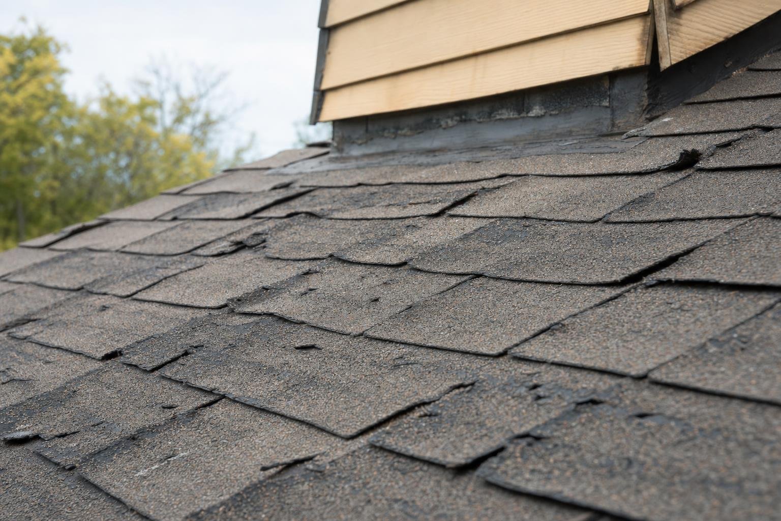 hail damage on asphalt shingles showing how long a roof lasts in Texas climate